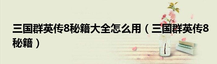 三國群英傳8秘籍大全怎么用（三國群英傳8秘籍）