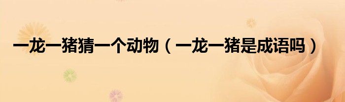 一龍一豬猜一個動物（一龍一豬是成語嗎）