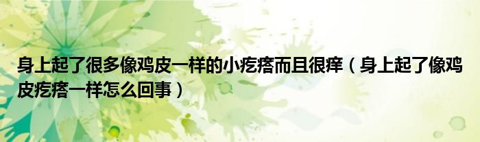 身上起了很多像雞皮一樣的小疙瘩而且很癢（身上起了像雞皮疙瘩一樣怎么回事）