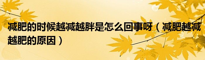 減肥的時候越減越胖是怎么回事呀（減肥越減越肥的原因）