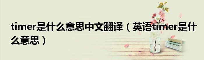 timer是什么意思中文翻譯（英語(yǔ)timer是什么意思）