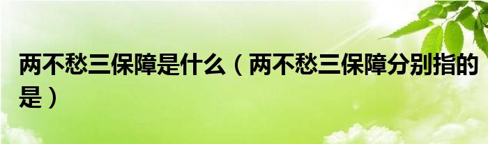 兩不愁三保障是什么（兩不愁三保障分別指的是）