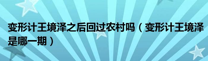 變形計王境澤之后回過農(nóng)村嗎（變形計王境澤是哪一期）