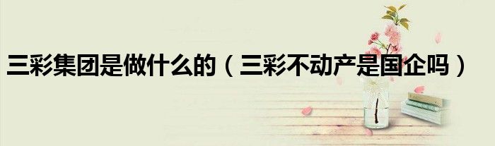 三彩集團是做什么的（三彩不動產(chǎn)是國企嗎）