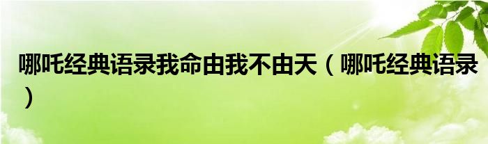 哪吒經(jīng)典語錄我命由我不由天（哪吒經(jīng)典語錄）