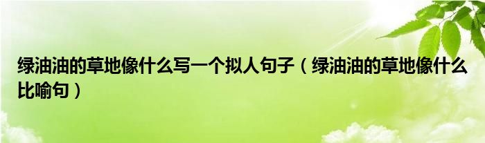 綠油油的草地像什么寫一個(gè)擬人句子（綠油油的草地像什么比喻句）