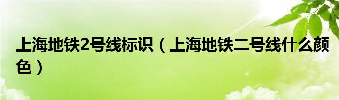 上海地鐵2號(hào)線標(biāo)識(shí)（上海地鐵二號(hào)線什么顏色）