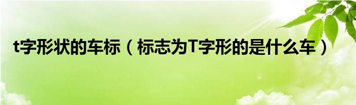 t字形狀的車標(biāo)（標(biāo)志為T字形的是什么車）