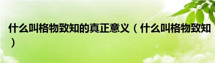 什么叫格物致知的真正意義（什么叫格物致知）