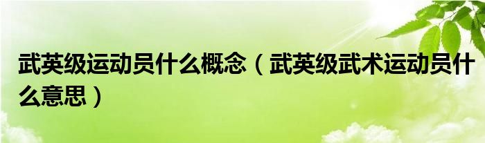 武英級運(yùn)動員什么概念（武英級武術(shù)運(yùn)動員什么意思）