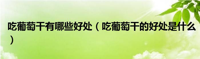 吃葡萄干有哪些好處（吃葡萄干的好處是什么）