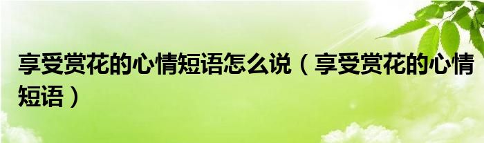 享受賞花的心情短語怎么說（享受賞花的心情短語）