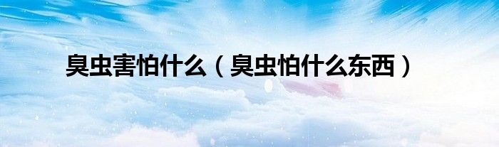 臭蟲害怕什么（臭蟲怕什么東西）