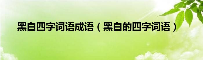 黑白四字詞語成語（黑白的四字詞語）