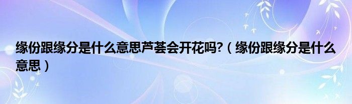 緣份跟緣分是什么意思蘆薈會開花嗎?（緣份跟緣分是什么意思）