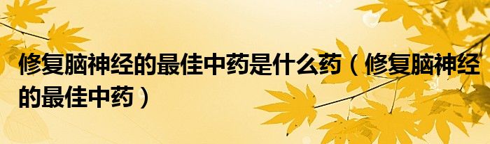 修復(fù)腦神經(jīng)的最佳中藥是什么藥（修復(fù)腦神經(jīng)的最佳中藥）