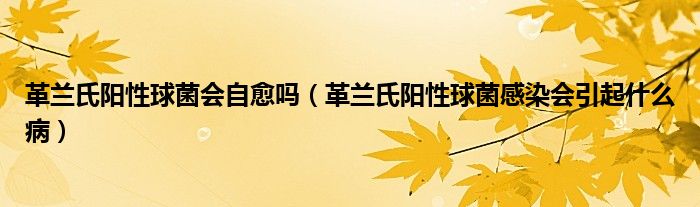 革蘭氏陽性球菌會自愈嗎（革蘭氏陽性球菌感染會引起什么?。? />
                                         </a>
                                    </div>
                                 <div   id=