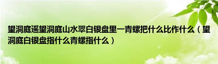 望洞庭遙望洞庭山水翠白銀盤里一青螺把什么比作什么（望洞庭白銀盤指什么青螺指什么）