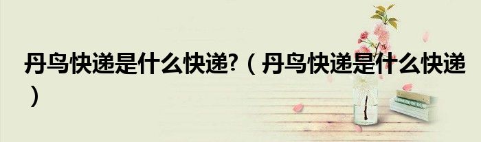 丹鳥快遞是什么快遞?（丹鳥快遞是什么快遞）
