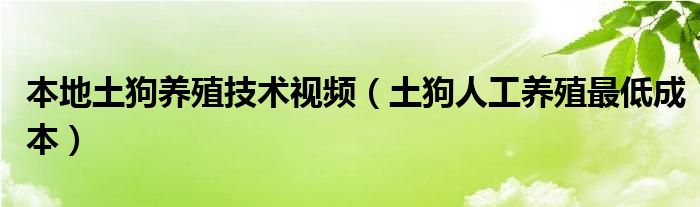 本地土狗養(yǎng)殖技術(shù)視頻（土狗人工養(yǎng)殖最低成本）