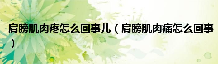 肩膀肌肉疼怎么回事兒（肩膀肌肉痛怎么回事）