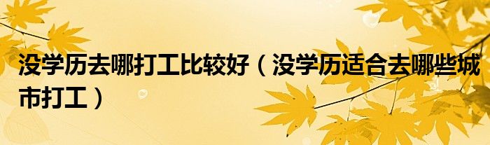 沒(méi)學(xué)歷去哪打工比較好（沒(méi)學(xué)歷適合去哪些城市打工）