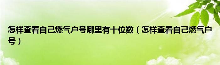怎樣查看自己燃?xì)鈶籼?hào)哪里有十位數(shù)（怎樣查看自己燃?xì)鈶籼?hào)）