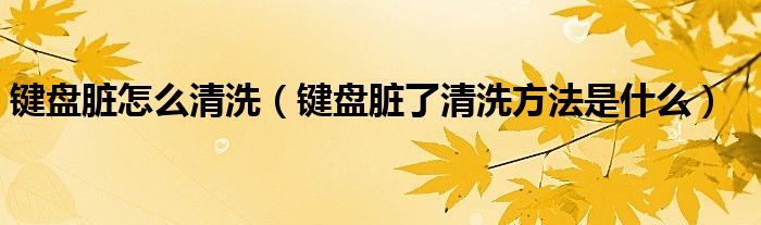 鍵盤(pán)臟怎么清洗（鍵盤(pán)臟了清洗方法是什么）