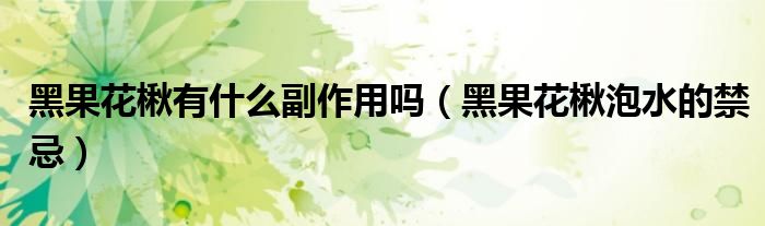 黑果花楸有什么副作用嗎（黑果花楸泡水的禁忌）