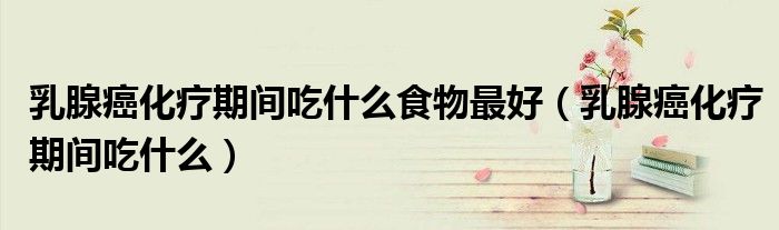 乳腺癌化療期間吃什么食物最好（乳腺癌化療期間吃什么）
