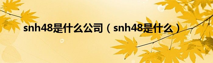 snh48是什么公司（snh48是什么）