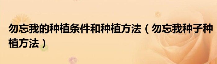 勿忘我的種植條件和種植方法（勿忘我種子種植方法）