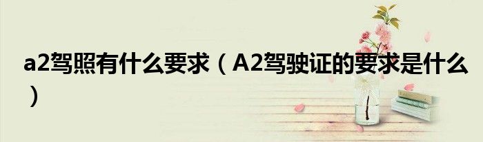 a2駕照有什么要求（A2駕駛證的要求是什么）