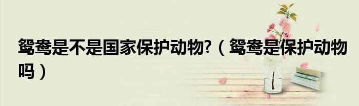 鴛鴦是不是國家保護(hù)動(dòng)物?（鴛鴦是保護(hù)動(dòng)物嗎）