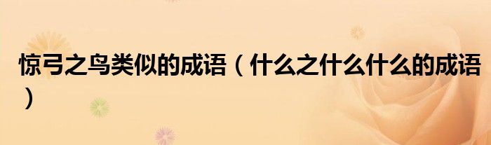 驚弓之鳥類似的成語（什么之什么什么的成語）