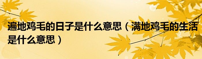 遍地雞毛的日子是什么意思（滿地雞毛的生活是什么意思）