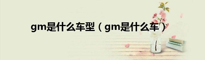 gm是什么車型（gm是什么車）