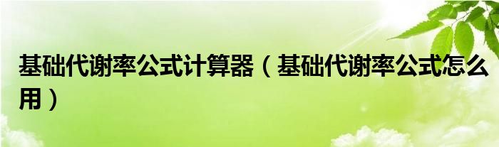 基礎(chǔ)代謝率公式計(jì)算器（基礎(chǔ)代謝率公式怎么用）
