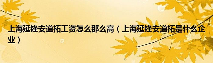 上海延鋒安道拓工資怎么那么高（上海延鋒安道拓是什么企業(yè)）