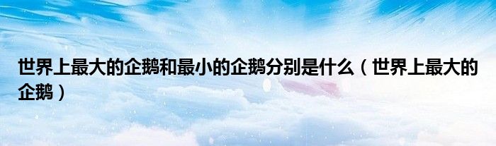 世界上最大的企鵝和最小的企鵝分別是什么（世界上最大的企鵝）