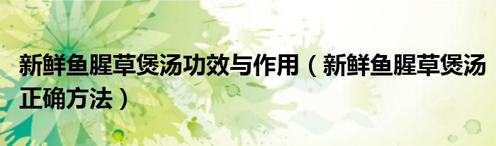 新鮮魚腥草煲湯功效與作用（新鮮魚腥草煲湯正確方法）