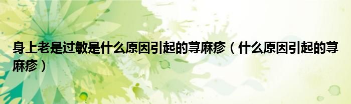 身上老是過敏是什么原因引起的蕁麻疹（什么原因引起的蕁麻疹）