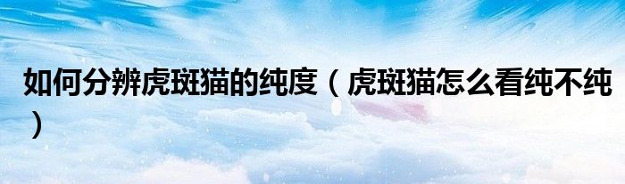如何分辨虎斑貓的純度（虎斑貓怎么看純不純）