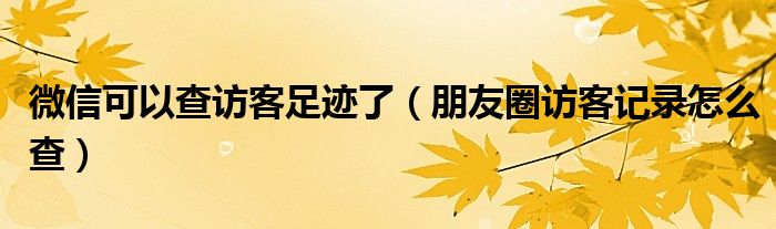 微信可以查訪客足跡了（朋友圈訪客記錄怎么查）