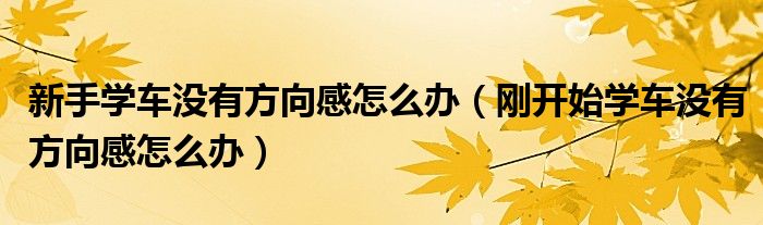 新手學(xué)車沒有方向感怎么辦（剛開始學(xué)車沒有方向感怎么辦）