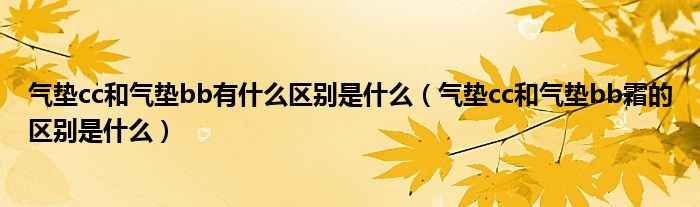 氣墊cc和氣墊bb有什么區(qū)別是什么（氣墊cc和氣墊bb霜的區(qū)別是什么）