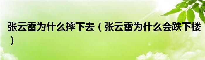 張云雷為什么摔下去（張云雷為什么會跌下樓）