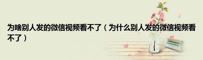 為啥別人發(fā)的微信視頻看不了（為什么別人發(fā)的微信視頻看不了）