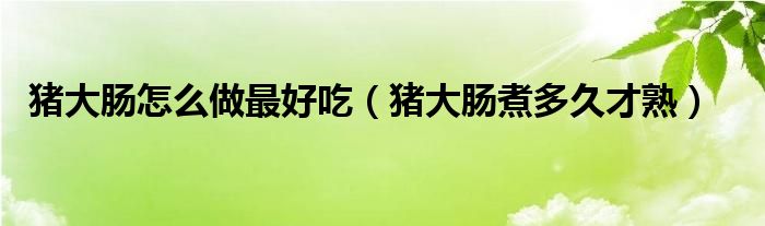 豬大腸怎么做最好吃（豬大腸煮多久才熟）