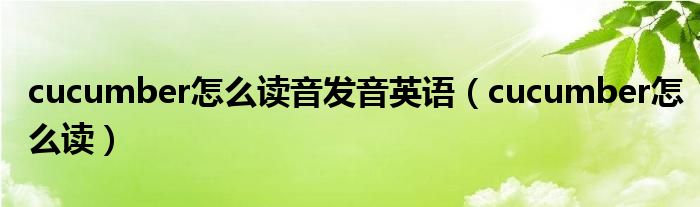 cucumber怎么讀音發(fā)音英語（cucumber怎么讀）